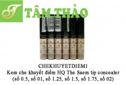 Kem che khuyết điểm HQ The Saem tip concealer 